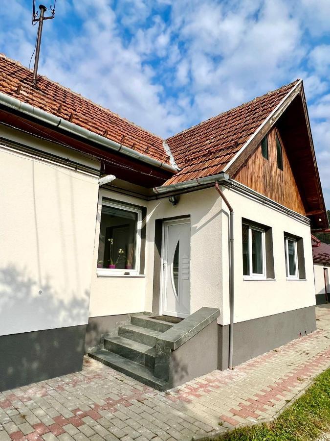 Silver House Rasnov Ngoại thất bức ảnh